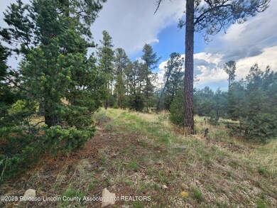 Lot 2A Snow Park Rd, Alto, NM 88312 - photo 3