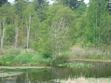 5076 Festival Blvd unit 2B, Bellingham, WA 98226 - photo 2