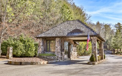 161 Old Toccoa Farm, Mineral Bluff, GA 30559 - photo 4