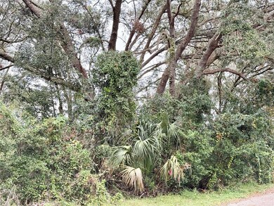 0 Hilda Rd unit MFRTB8334007, Ridge Manor, FL 33523 - photo 7