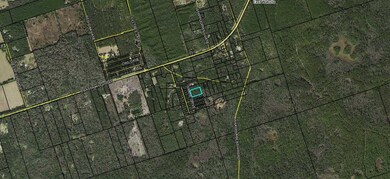 75 Simmie Dr, Crawfordville, FL 32327 - photo 6