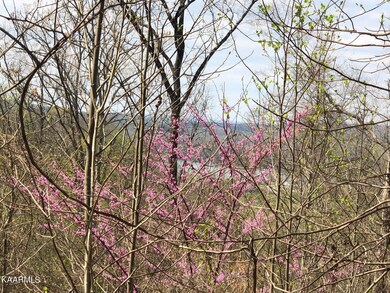 #707 Ruby Way, Sunset Bay, Norris Lake