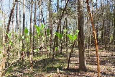 Dogwood trees scattered throughout!