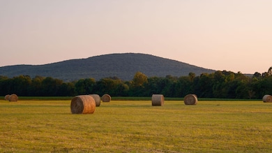 309 Gilliam Rd, Gurley, AL 35748 - photo 4