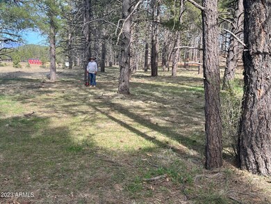 IMG_0134