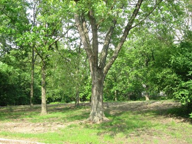 25 Danube Way, Olympia Fields, IL 60461 - photo 5