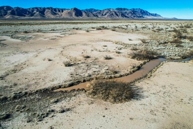 deertrail-13