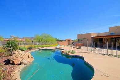 Backyard 6