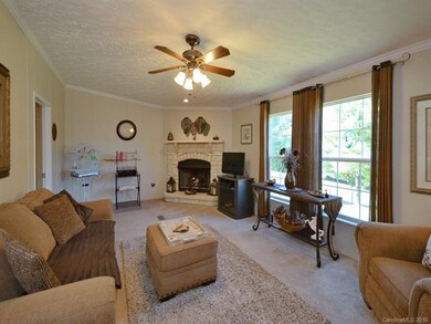 241 W Walt Haven Dr, Leicester, NC 28748 - photo 6