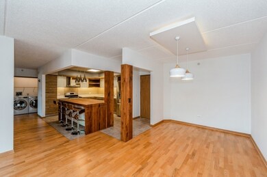 1325 Perry St unit 501, Des Plaines, IL 60016 - photo 7