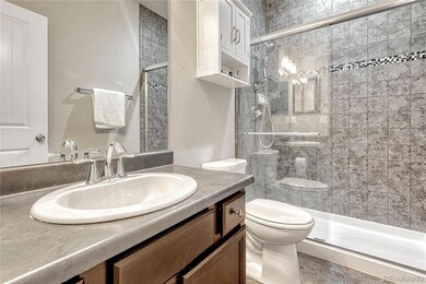 Full Hall Bathroom with vanity, mirror, and floor to ceiling tiled shower with decorative inlay.