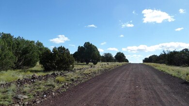 Road to property