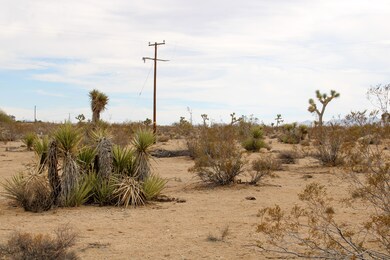 0 Anita Ave unit 25624260, Yucca Valley, CA 92284 - photo 5