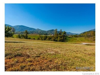 000 Newfound Rd, Leicester, NC 28748 - photo 6