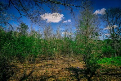 TBD Chestnut St, McComb, MS 39648 - photo 6