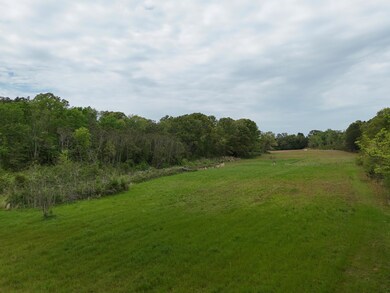 DJI_20240416154634_0046_D