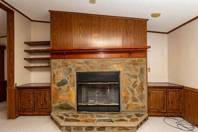 Room details with carpet, a textured ceiling, and 