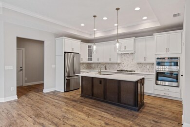 Deluxe Kitchen