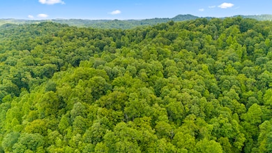 1235 Greenbrier Branch Rd, Campton, KY 41301 - photo 7