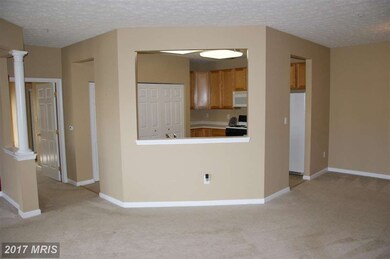 2404 Chestnut Terrace Ct, Odenton, MD 21113 - photo 4