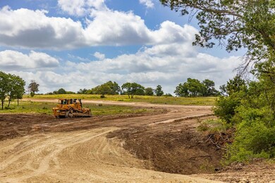 190 Jupiter Trail, Weatherford, TX 76088 - photo 5