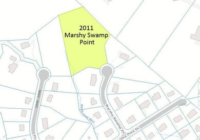 2011 Marshy Swamp Lot