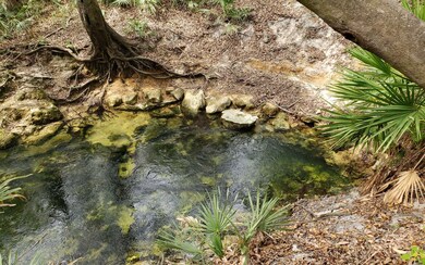 Running Springs