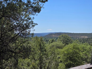 706 E Arrowhead Ct, Payson, AZ 85541 - photo 5