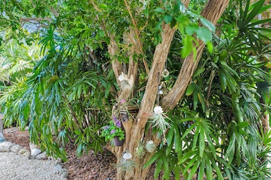 661 12th St, Key Colony Beach, FL 33051 - photo 7