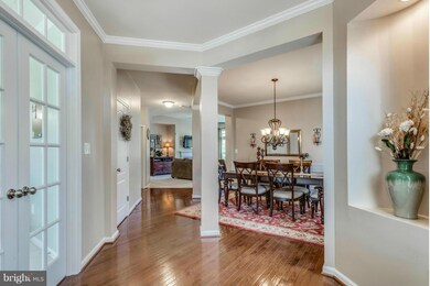 42246 Sand Pine Place, Chantilly, VA 20152 - photo 4
