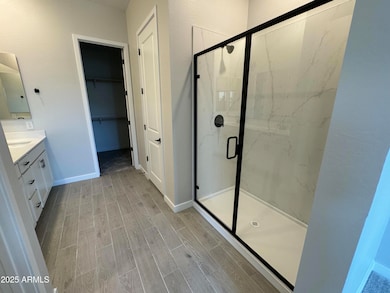 7029 E Brushy Bill Rd, Queen Creek, AZ 85143 - photo 7