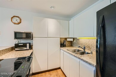 Simba Run Vail #1429 - MLS Sized - 011 -