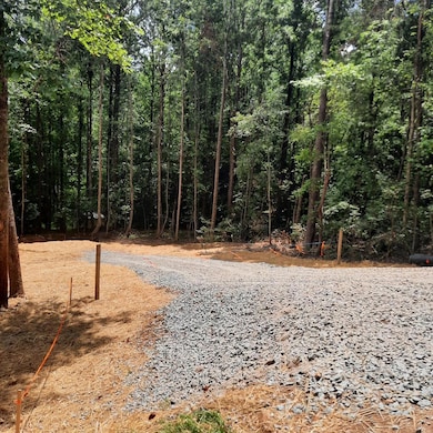 LOT 195 Shenendoa Dr, Ellijay, GA 30540 - photo 2