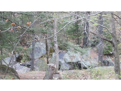lot 2 Hammerhead Rd, Groton, NH 03241 - photo 5