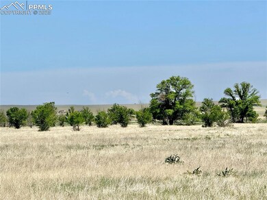 Tract 2 S East Ellicott Rd, Calhan, CO 80808 - photo 4