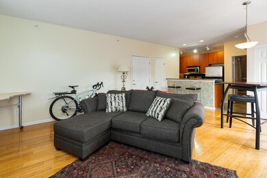 Open Living Area