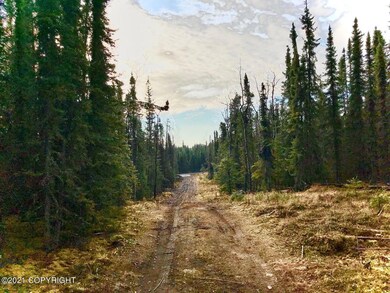 Dirt rd cut (Barbara)