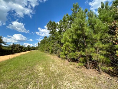 0 Goett Rd, Dearing, GA 30808 - photo 3