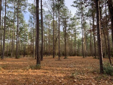 8437 Hwy 94, Lufkin, OK 74904 - photo 6