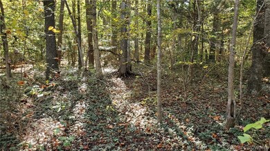 10.98 Acres Genito Rd, Amelia Ct Hse, VA 23002 - photo 4