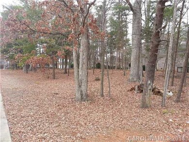 Lot 670 Town Harbour Rd unit 670, Cornelius, NC 28031 - photo 7