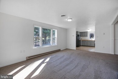 135 Ward Ave, Winchester, VA 22602 - photo 5