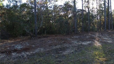 3882 W Fireside Ln, Citrus Springs, FL 34433 - photo 4