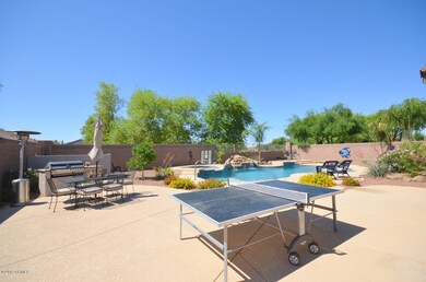 Backyard 4