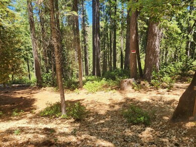 6296 Merry Way, Clipper Mills, CA 95930 - photo 5