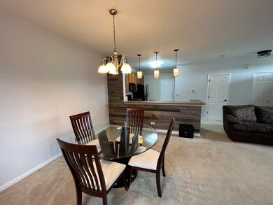 224 Springbrook Trail S unit 3, Oswego, IL 60543 - photo 5