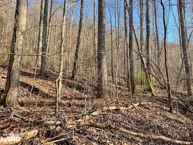 00 Early Deitz Rd, Sylva, NC 28779 - photo 6