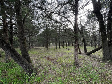 Lot 43A Palmilla Dr, Gordonville, TX 76245 - photo 6