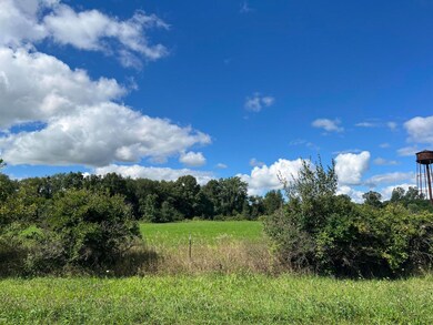 0 Central Rd unit NRA826634, Kingsbury, IN 46346 - photo 3