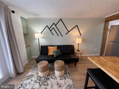 125 E Valley Point Ln unit 1108, Claysburg, PA 16625 - photo 7